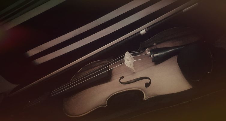 Violin Photo